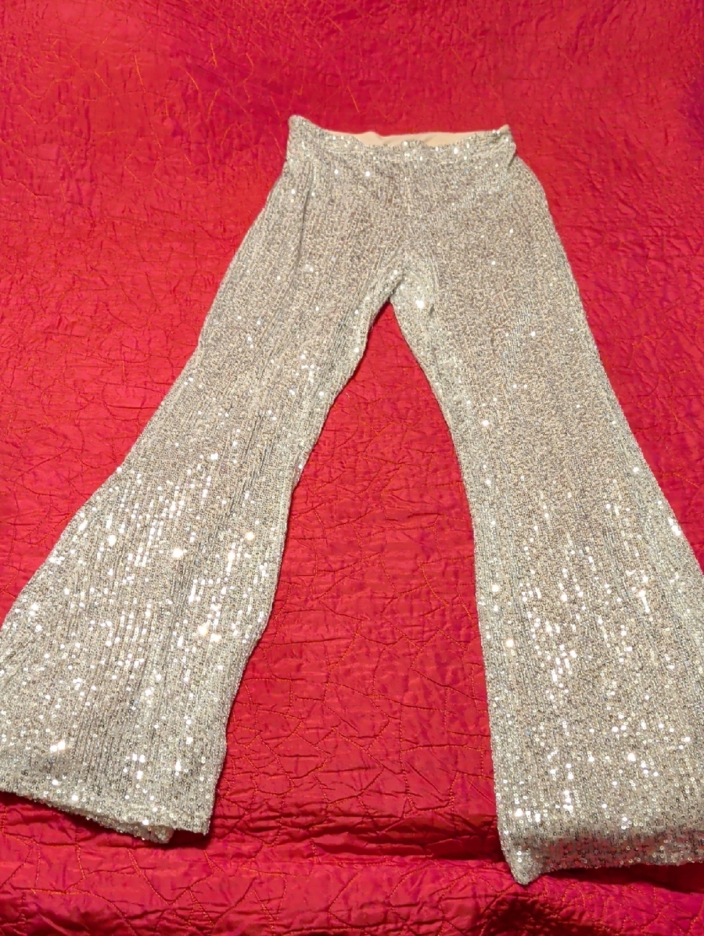 Silver Sequin Flared Pants, Size Small
